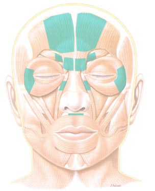 botox