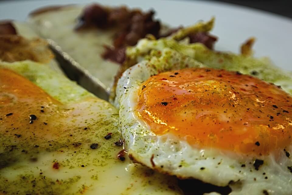 Alimentos ricos em proteínas, como o ovo, ajudam na cicatrização. ovo