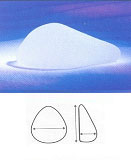 int_protese_2