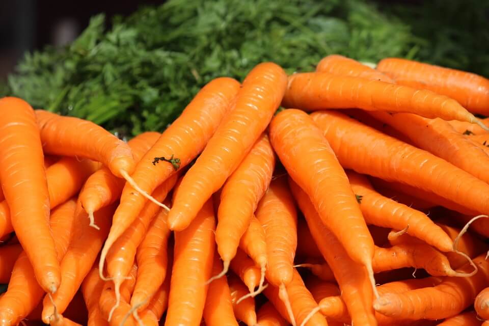 Alimentos ricos em vitamina A ajudam na cicatrização. cenoura